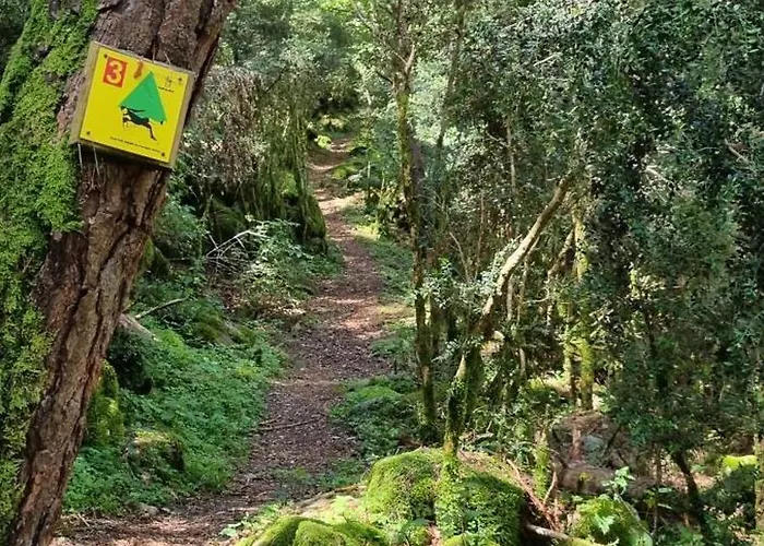 Duplex La Vinya Apartman Barruera